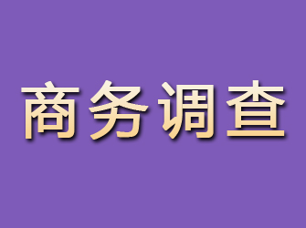 沧源商务调查